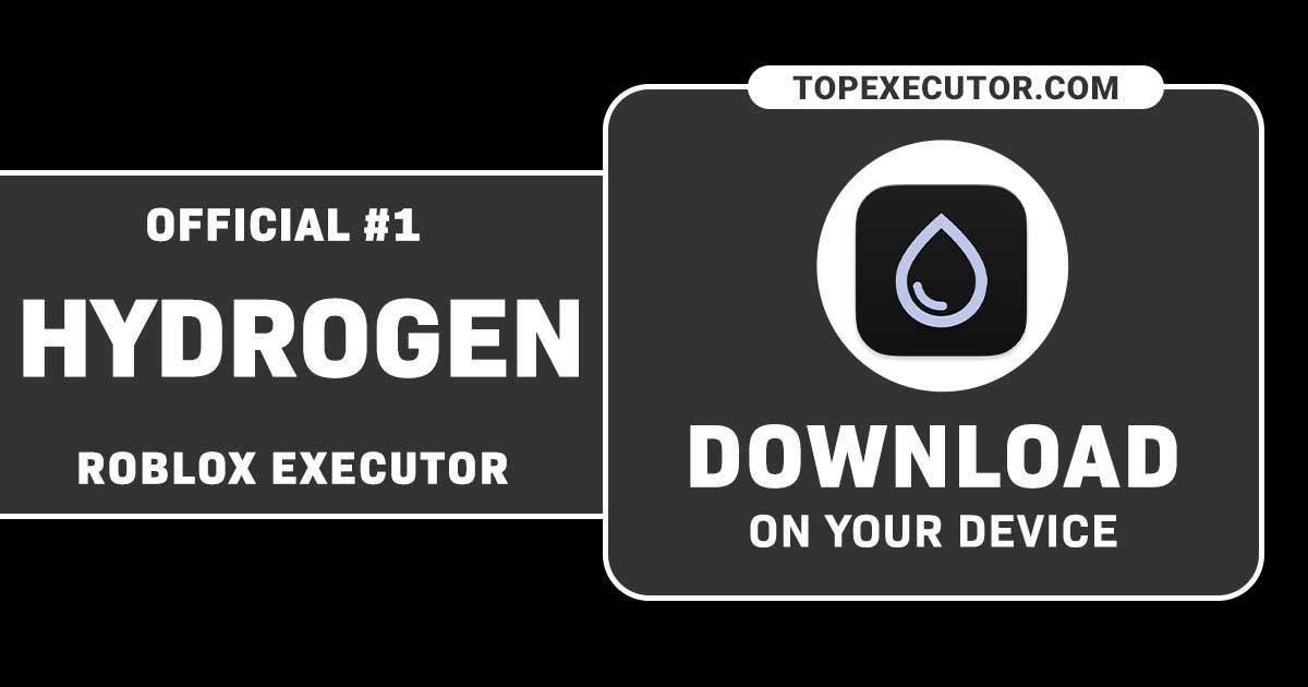 Hydrogen Executor